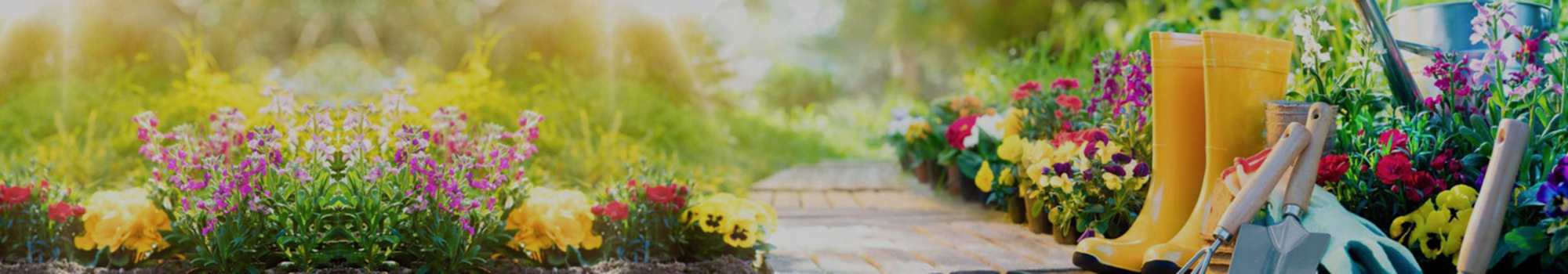 TOP BANNER 5