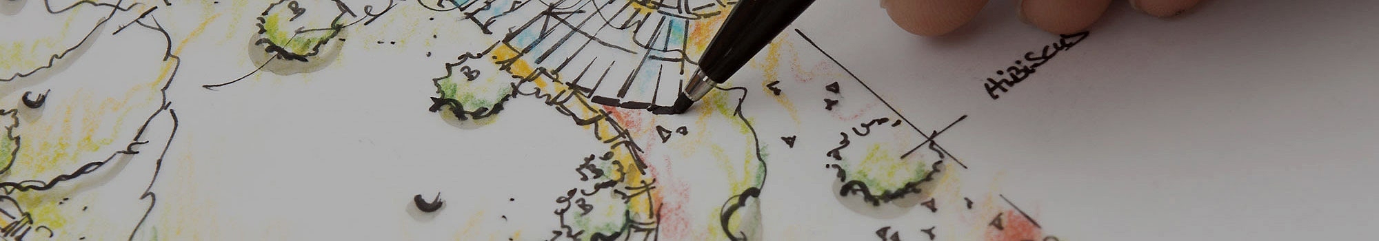 TOP BANNER 9